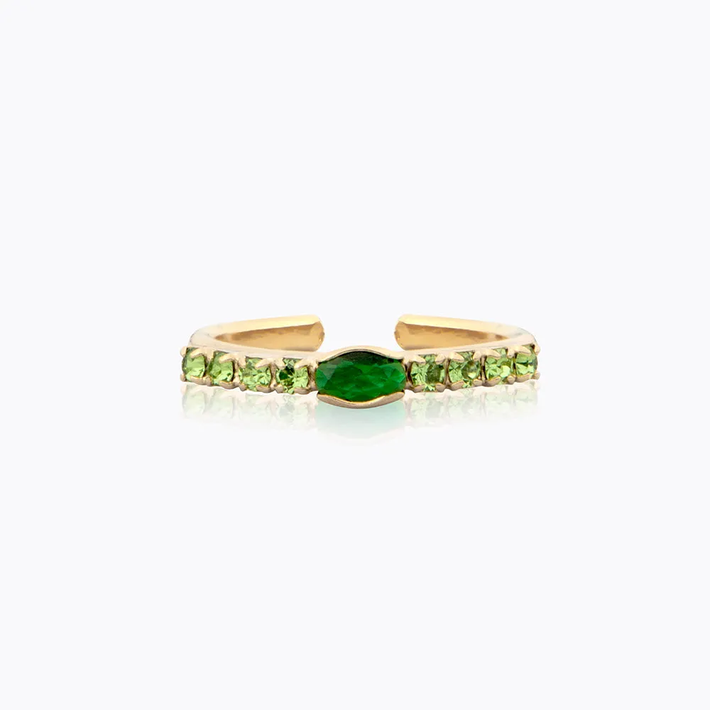 Tracy Ring / Fern Green